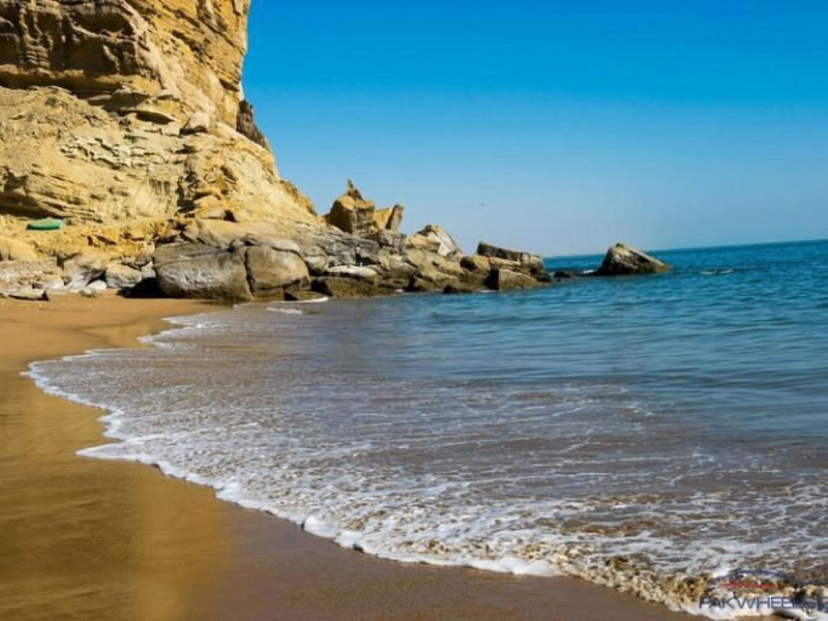 Untitled design (13)