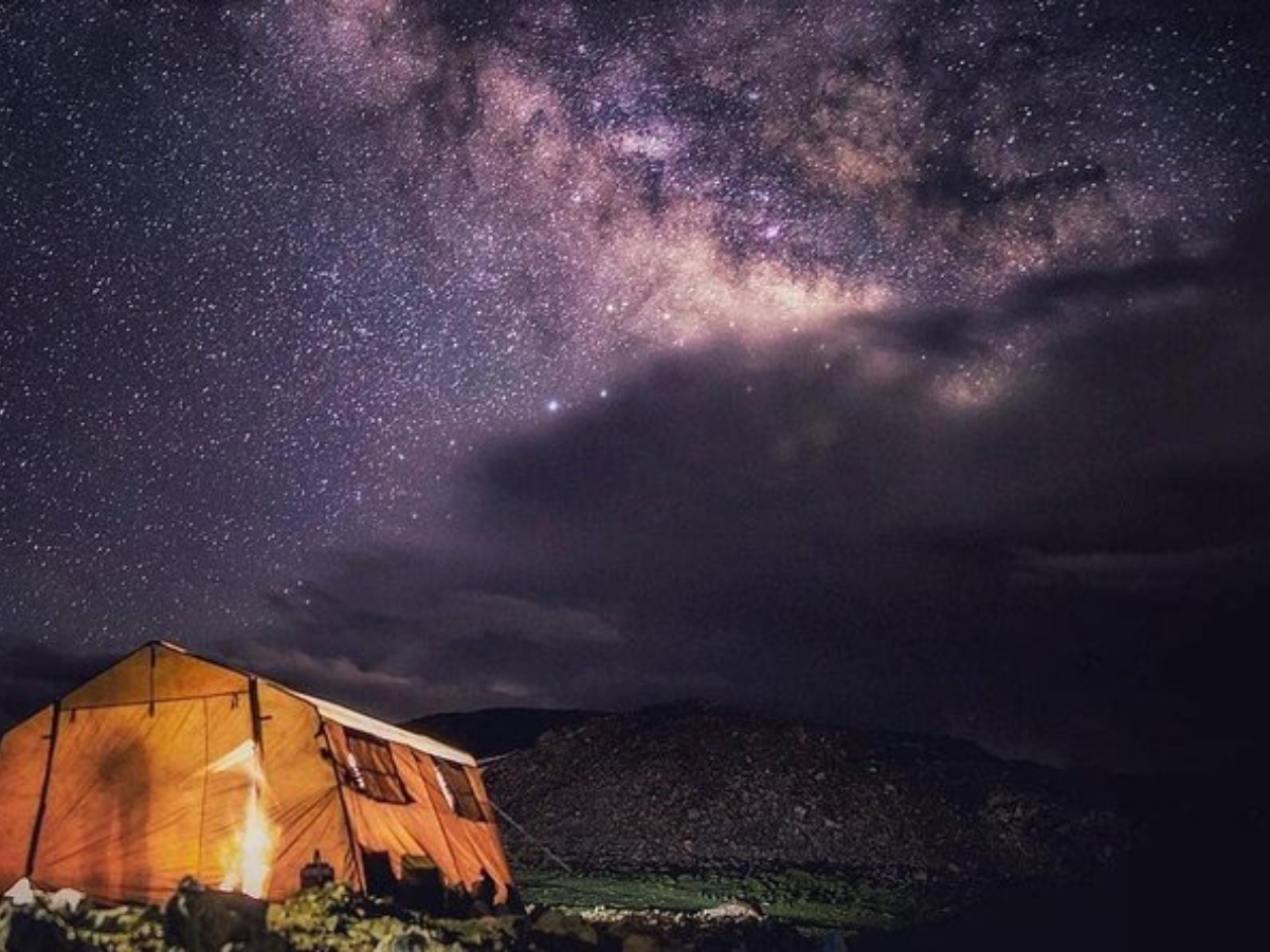 Untitled design (15)