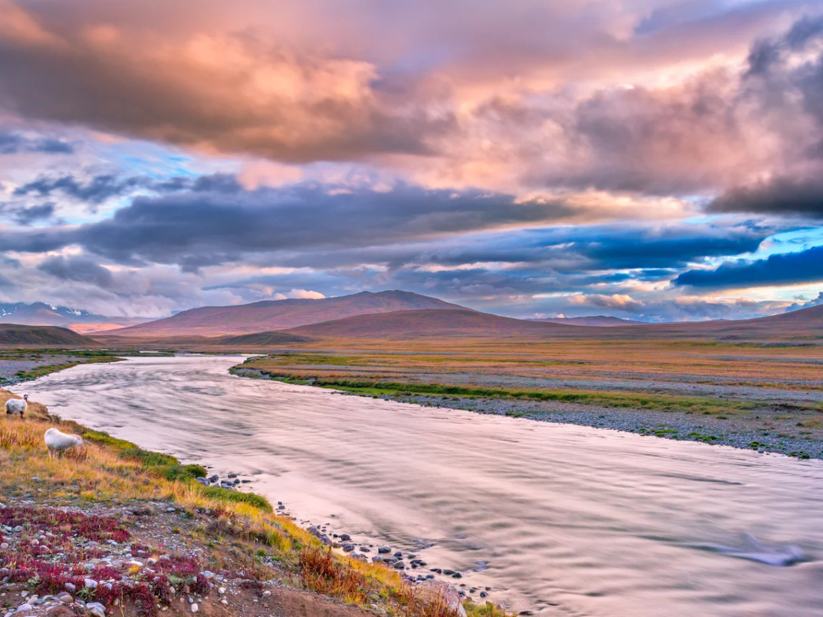 Untitled design (16)