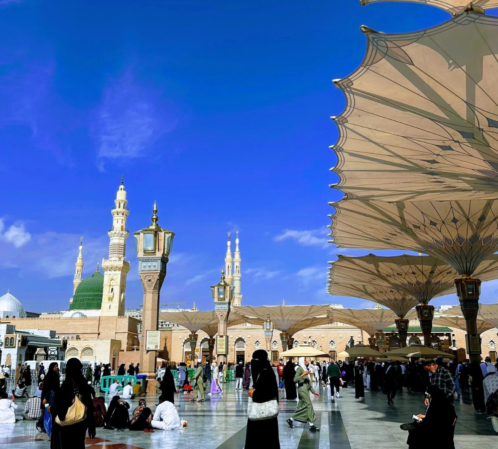 Untitled design (18)