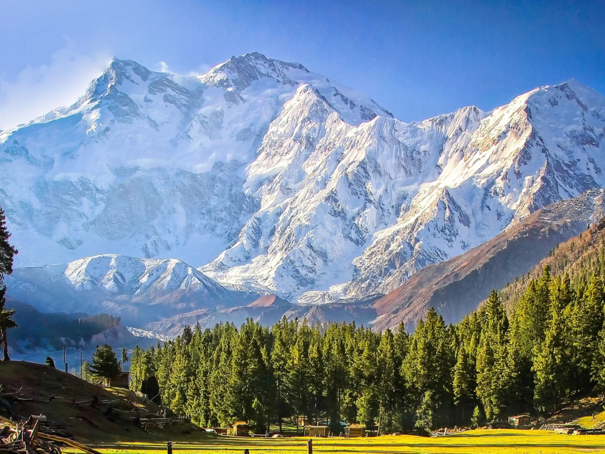 Fairy Meadows Pakistan