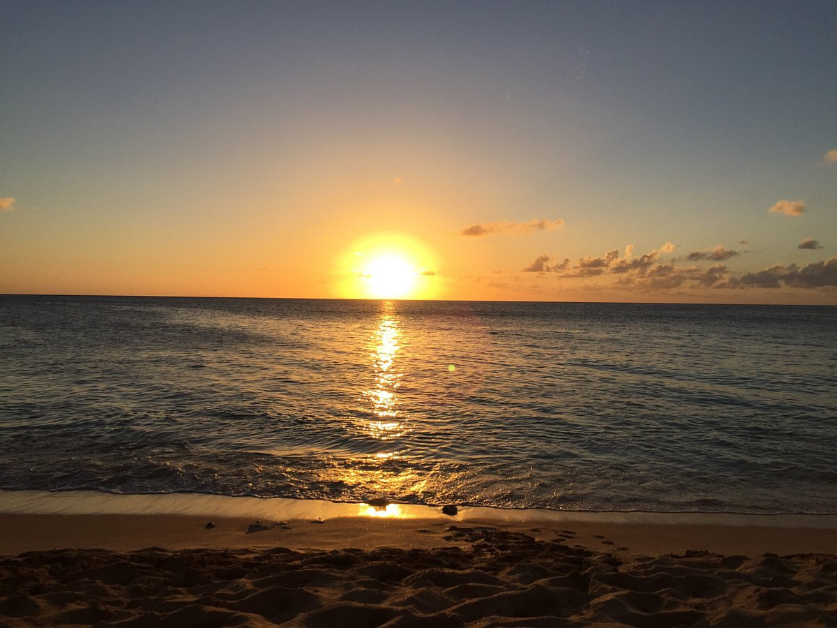 Untitled design (30)