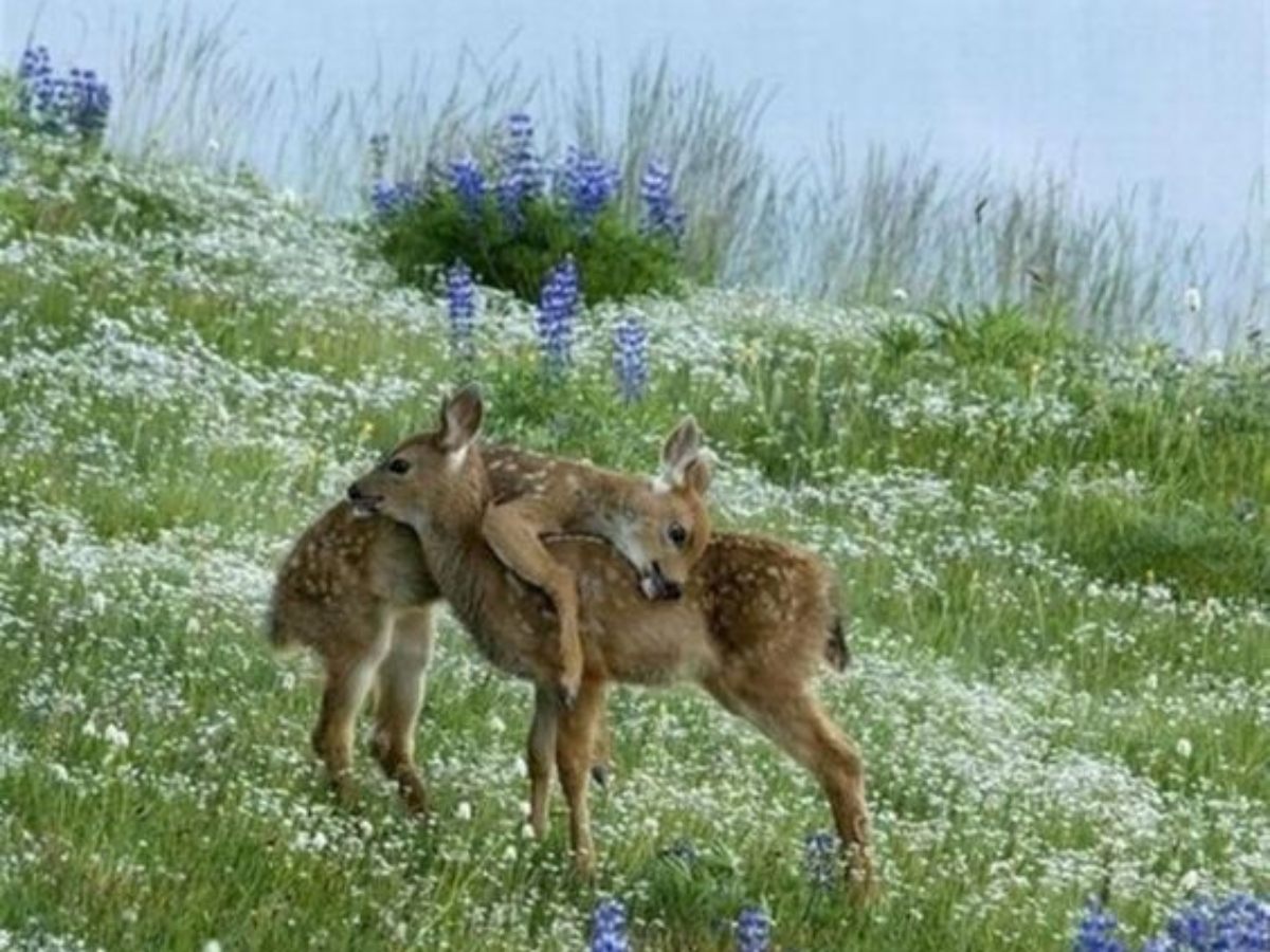 Untitled design (34)