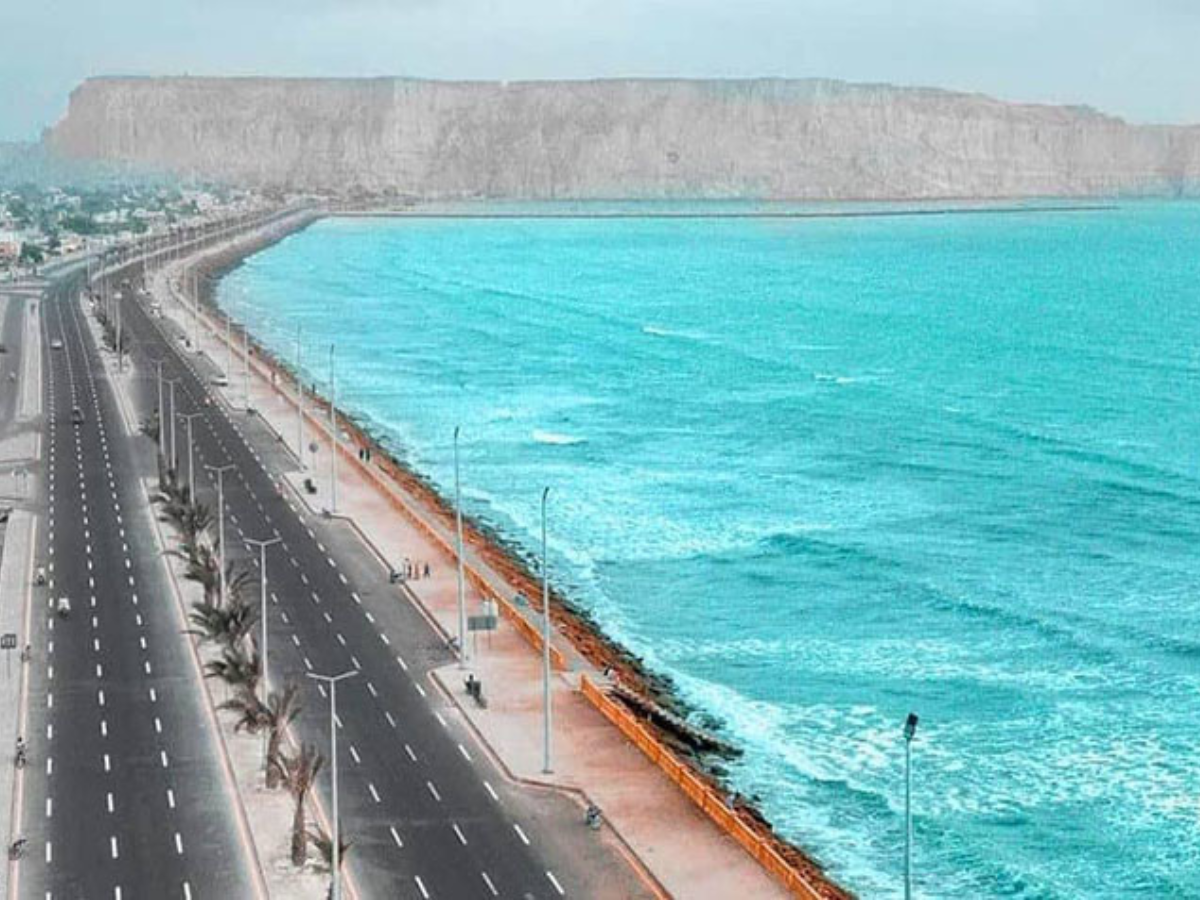 Untitled design (9) (1)